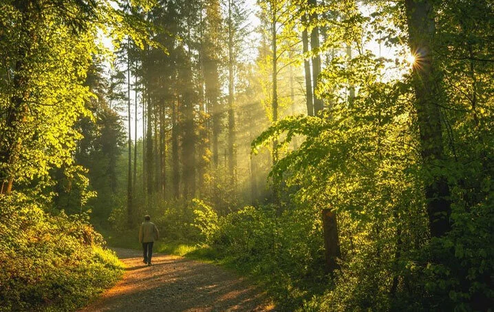 Rustomjee Parishram Forest Walk